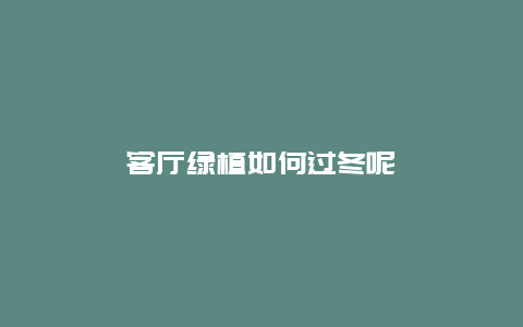 客厅绿植如何过冬呢