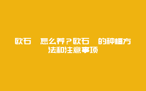 欧石楠怎么养？欧石楠的种植方法和注意事项