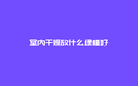 室内干燥放什么绿植好