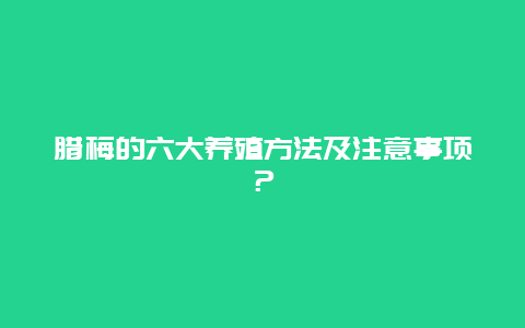 腊梅的六大养殖方法及注意事项？