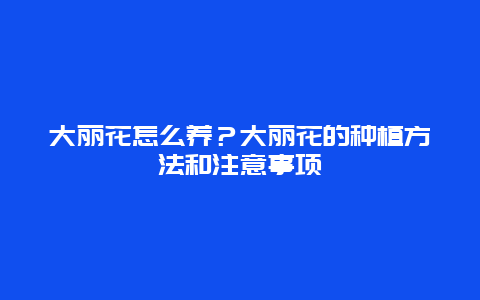 大丽花怎么养？大丽花的种植方法和注意事项