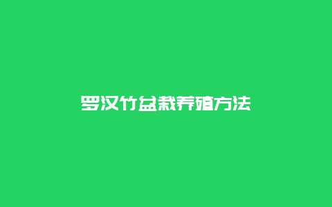 罗汉竹盆栽养殖方法