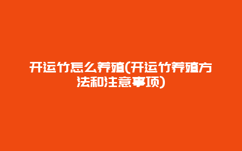 开运竹怎么养殖(开运竹养殖方法和注意事项)