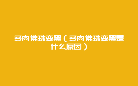 多肉佛珠变黑（多肉佛珠变黑是什么原因）