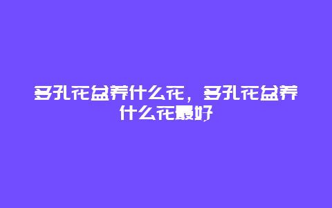 多孔花盆养什么花，多孔花盆养什么花最好