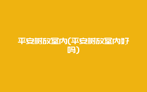 平安树放室内(平安树放室内好吗)