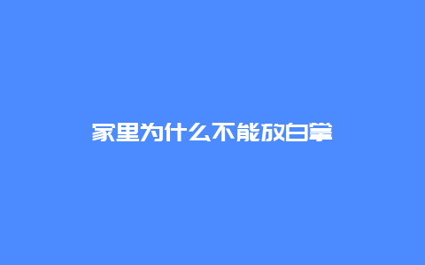 家里为什么不能放白掌