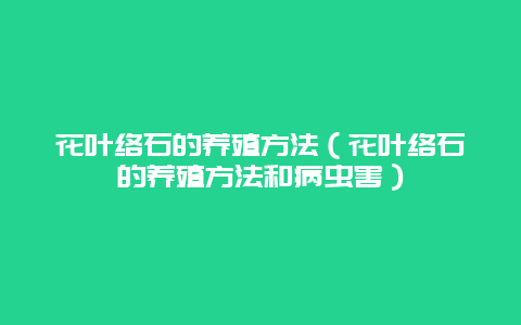 花叶络石的养殖方法（花叶络石的养殖方法和病虫害）