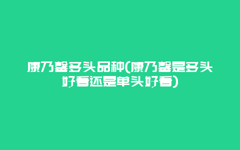 康乃馨多头品种(康乃馨是多头好看还是单头好看)