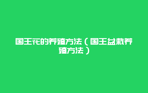 国王花的养殖方法（国王盆栽养殖方法）