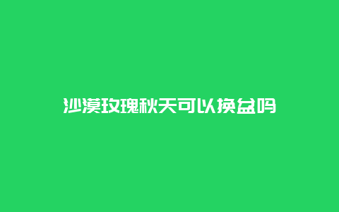 沙漠玫瑰秋天可以换盆吗