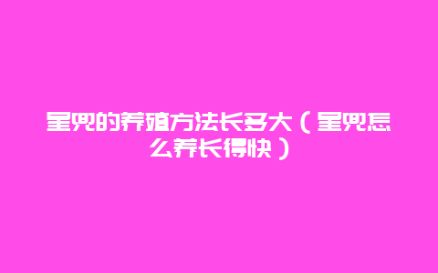 星兜的养殖方法长多大（星兜怎么养长得快）