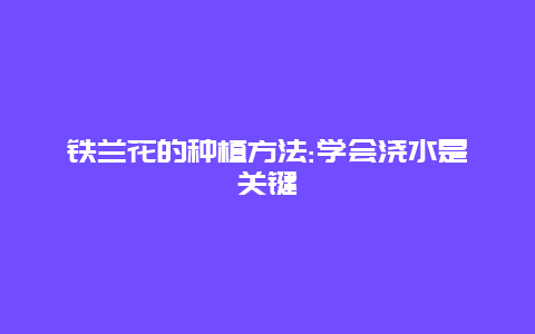 铁兰花的种植方法:学会浇水是关键