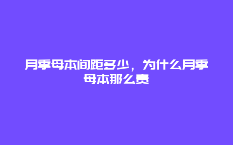 月季母本间距多少，为什么月季母本那么贵