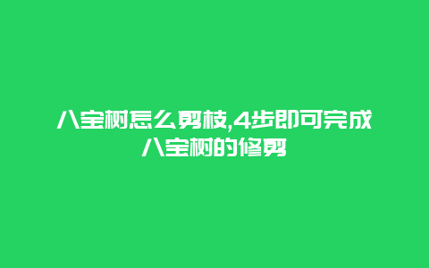 八宝树怎么剪枝,4步即可完成八宝树的修剪