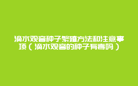 滴水观音种子繁殖方法和注意事项（滴水观音的种子有毒吗）