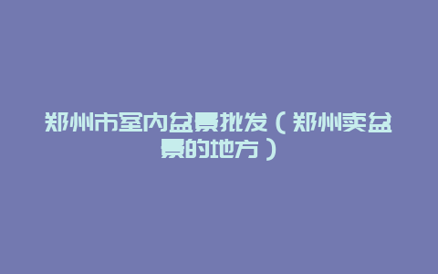 郑州市室内盆景批发（郑州卖盆景的地方）