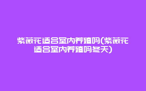 紫薇花适合室内养殖吗(紫薇花适合室内养殖吗冬天)