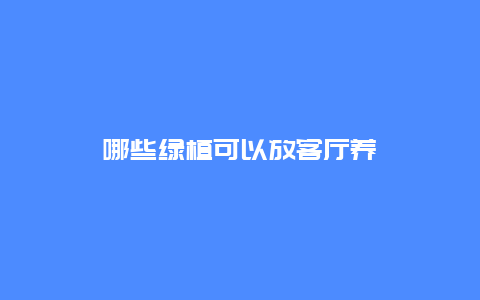 哪些绿植可以放客厅养