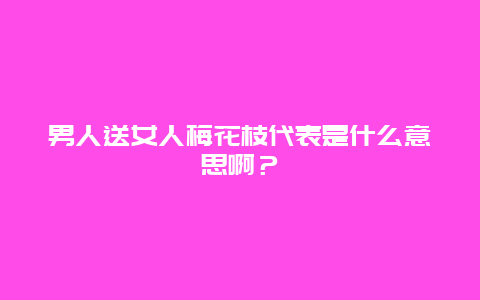 男人送女人梅花枝代表是什么意思啊？