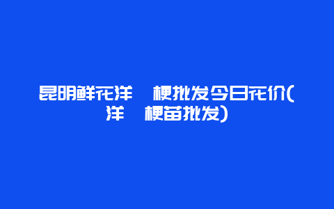 昆明鲜花洋桔梗批发今日花价(洋桔梗苗批发)