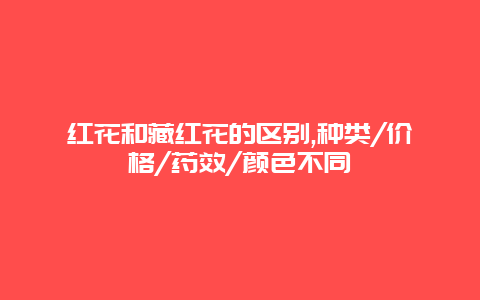 红花和藏红花的区别,种类/价格/药效/颜色不同