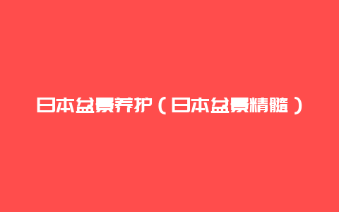 日本盆景养护（日本盆景精髓）