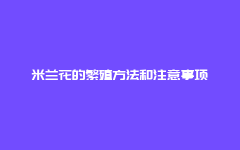 米兰花的繁殖方法和注意事项