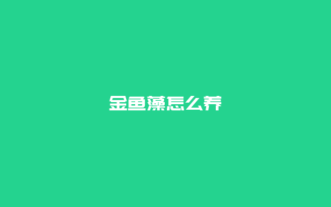 金鱼藻怎么养