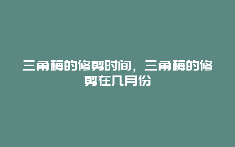 三角梅的修剪时间，三角梅的修剪在几月份