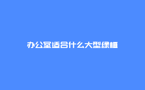 办公室适合什么大型绿植