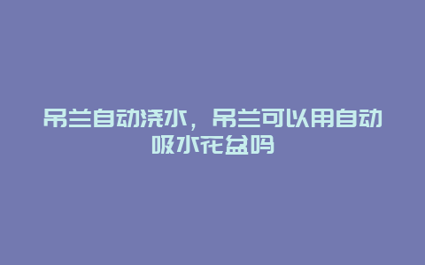 吊兰自动浇水，吊兰可以用自动吸水花盆吗