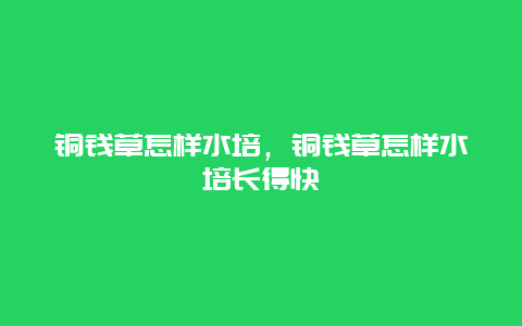 铜钱草怎样水培，铜钱草怎样水培长得快