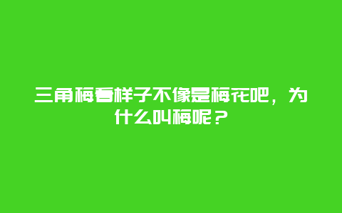 三角梅看样子不像是梅花吧，为什么叫梅呢？