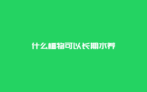 什么植物可以长期水养