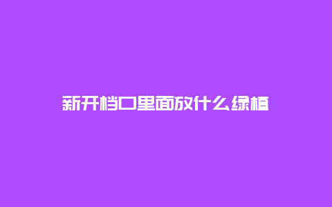 新开档口里面放什么绿植