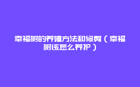 幸福树的养殖方法和修剪（幸福树该怎么养护）