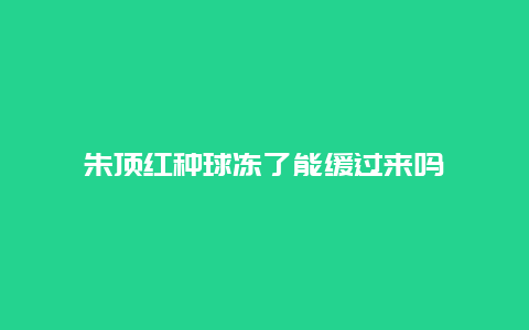 朱顶红种球冻了能缓过来吗