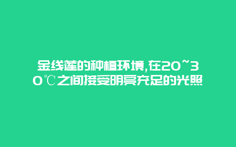 金线莲的种植环境,在20~30℃之间接受明亮充足的光照