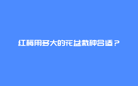 红梅用多大的花盆栽种合适？