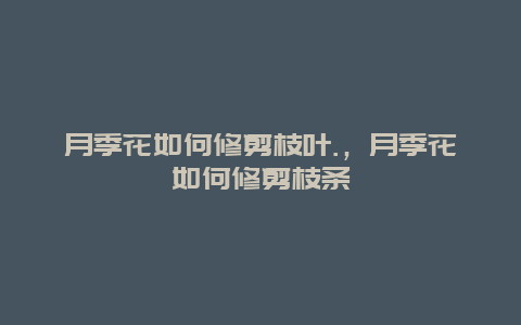 月季花如何修剪枝叶.，月季花如何修剪枝条