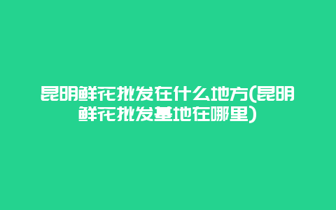 昆明鲜花批发在什么地方(昆明鲜花批发基地在哪里)