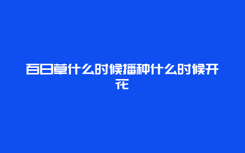 百日草什么时候播种什么时候开花