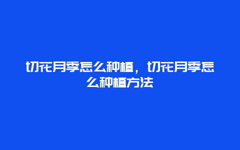 切花月季怎么种植，切花月季怎么种植方法