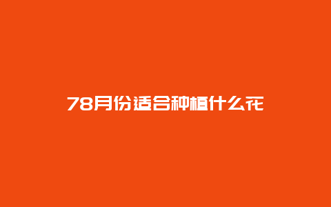 78月份适合种植什么花