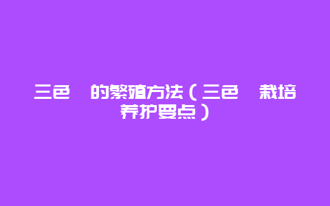 三色堇的繁殖方法（三色堇栽培养护要点）