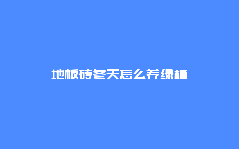 地板砖冬天怎么养绿植