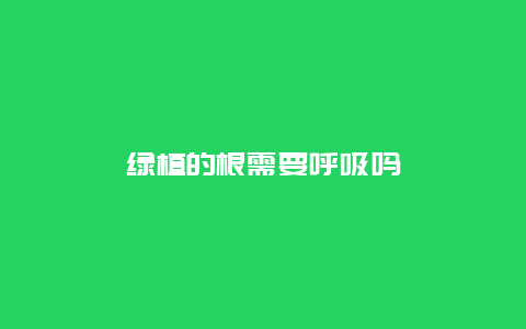 绿植的根需要呼吸吗