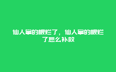 仙人掌的根烂了，仙人掌的根烂了怎么补救