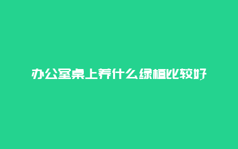 办公室桌上养什么绿植比较好